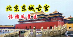御姐被老头日逼逼的网站中国北京-东城古宫旅游风景区